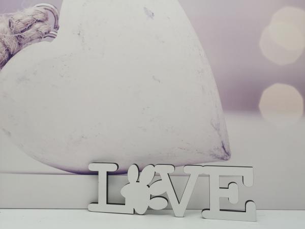 Schriftzug Love mit Pfote aus Holz in weiß